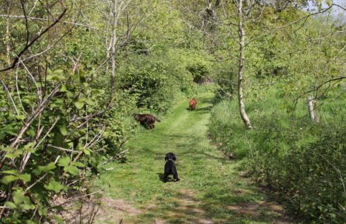 1 Bed in Umberleigh oc-55321 - Foto 19