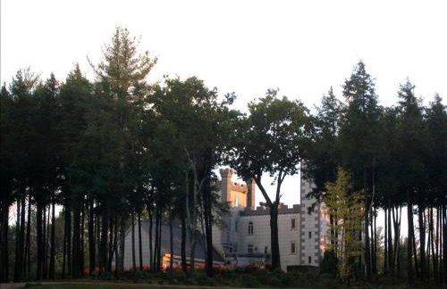 Spectacular Gothic-Style Castle with Private Pool and Hot Tub near Rindge, New Hampshire - Foto 12