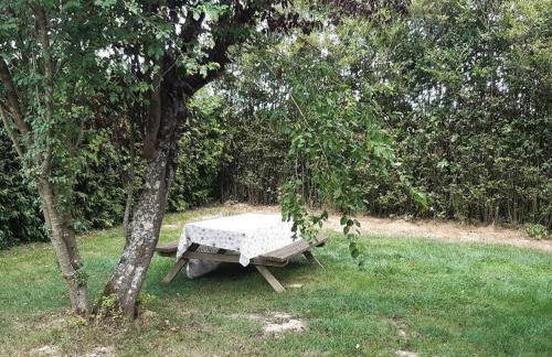 Gîte de la P'tite Rainette - Foto 23