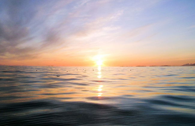 4 Person Holiday Home in Alsvag - Photo 3