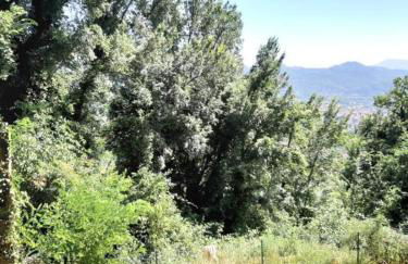 Casa Vittoria - Foto 21