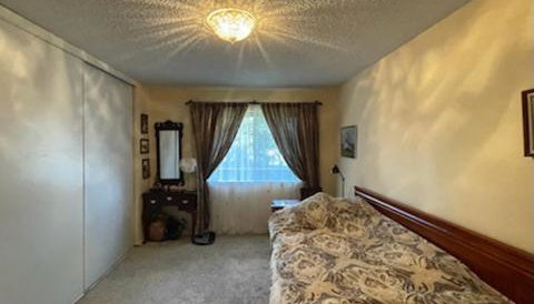 Large and full of light apartment next to Google, Apple, Stanford in the heart of Silicon Valley - Foto 4