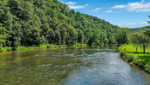 2Bd Riverfront with Expansive Outdoor Space, River Access, Fire Pit - Photo 4