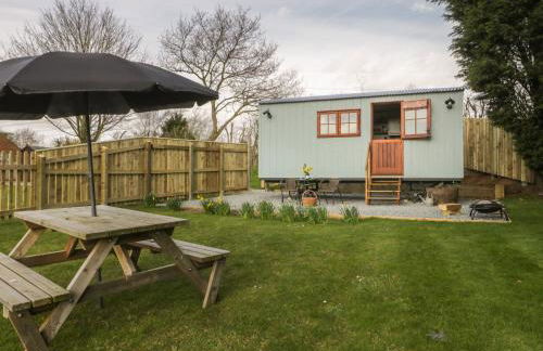 Ewes Welcome - Foto 15