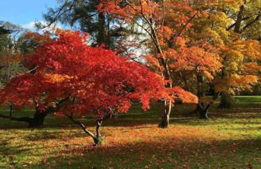 Stylish one bedroom Cotswold Coach House Tetbury - Foto 33