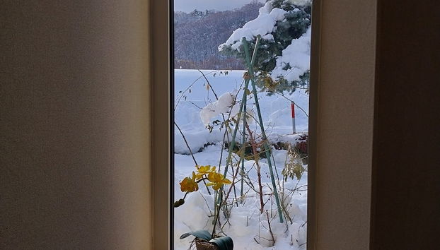 Entrada (vista interior)