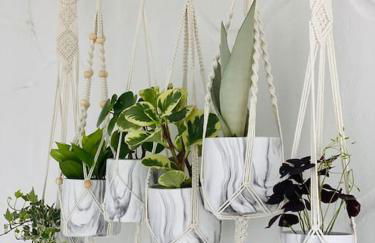 Calima house - Foto 23