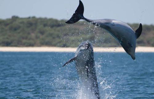 Quinta da Tranquilidade - Foto 28