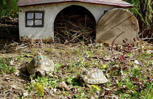 Tranquil Villa in San Romano di Garfagnana with Hot Tub - Foto 32