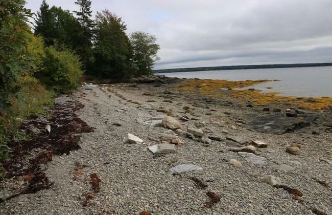 Cadillac Views - Photo 21