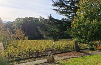 Pleine nature, 10 min zoo Beauval Mareuil sur cher - Foto 6