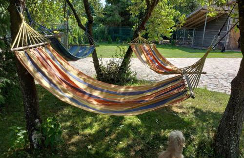 Agroturystyka Porbady - Foto 14