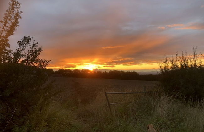 Beautiful 3 Bedroomed Cotswolds Farmhouse - Photo 23