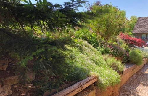 Holiday Apartment Silberborth - Foto 19