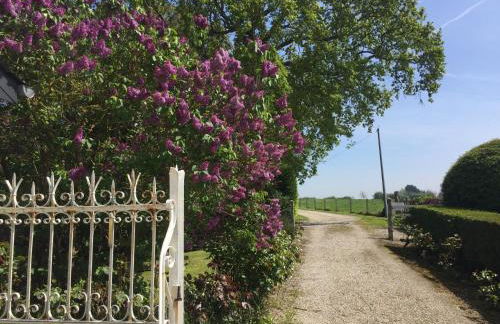 Ferme de Riou - Foto 32