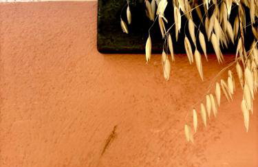 Traditional Corfiot House - Foto 61