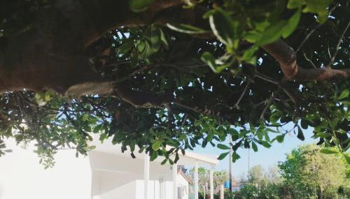 Kaliva Residence - Foto 2