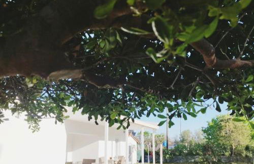 Kaliva Residence - Foto 2