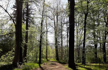 Apartament Sasanka - Foto 33