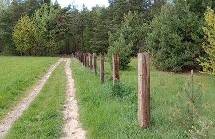 Kolorowe Wzgórze agroturystyka i konie - Foto 6