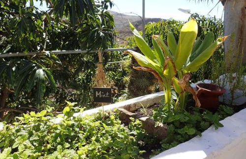 DRAGO 100, quiet and friendly - Foto 57