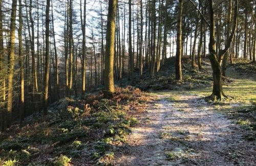 8 Tarn End Cottage, a luxurious cottage for romantic break overlooking Talkin Tarn close to Hadrians Wall - Foto 15