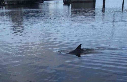 Guest suite - Waterfront -Pool & Hot tub- Walk to Beach - Foto 31