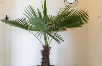 L'appartement à Cardaillac - Foto 14