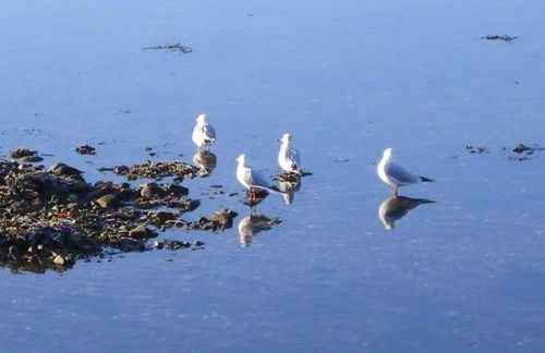 Ben Arthur's Bothy Luxury Flat - Foto 21