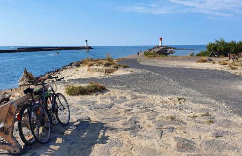 Jungle Spa - Cocon tropical et dépaysant avec balnéo en plein coeur de Pézenas ! - Foto 35