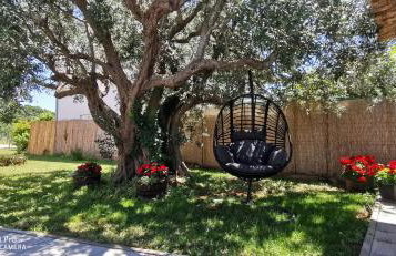 Apartment olive tree garden&poll view 4 plus 2, 130 m2 with tiki bar - Foto 51