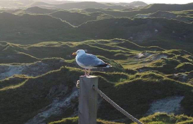 8 in het Huis Meerloft - Foto 10