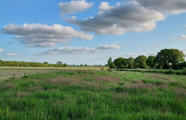 Spacious Chalet in a Rural Location Near Giethoorn - Photo 32