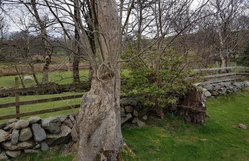 Buarth Wern - Foto 13