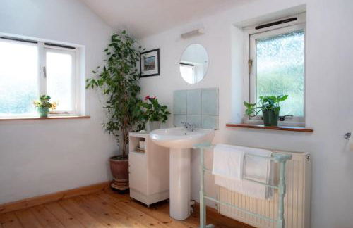 Yr Hen Efail - Old Smithy - Foto 12