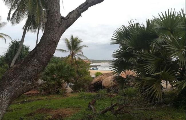 Redhill Yala - Photo 26