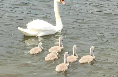 RIVER RETREAT- near Holloway U, Thorpe Park and Heathrow airport - Foto 52