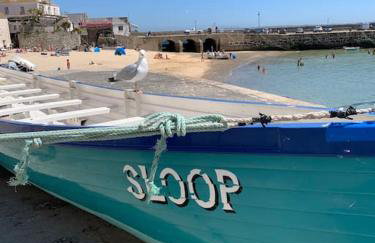 Cosy cottage between Penzance and St Ives - Foto 33