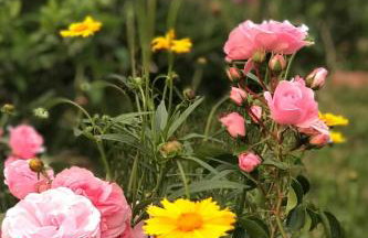 Apartment ApartmentmitAusblick by Interhome - Foto 24