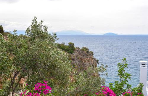 Muses Seaside Villas - Photo 124