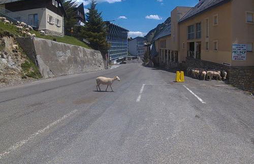 Studio Ceriséma Pyrénées Zénith - Foto 47