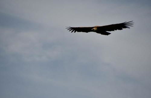 Gîte Domaine du Théron - Photo 12