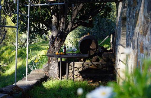 Panorama Suite El Mirador - Foto 42