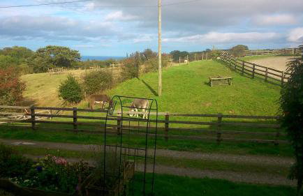 Meadowbeck Holiday Cottages - Photo 14