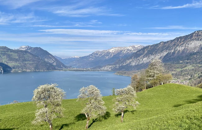 Panoramaferienwohnung Waldkircher - Foto 28