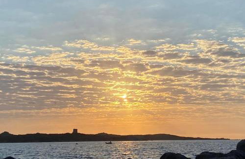 Sardegna segreta a pochi passi dal mare - Foto 59