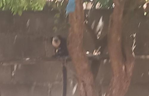 Refúgio à beira mar - Foto 12