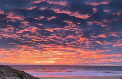 Le Neptune - Foto 55