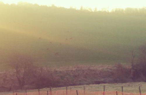 The Cottage - Hot Tub - nr Glasgow - self check-in - Foto 55