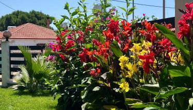 Galatea Suites - Foto 5